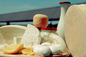 Буйволина ферма Карпатський буйвіл, екскурсія та дегустація
